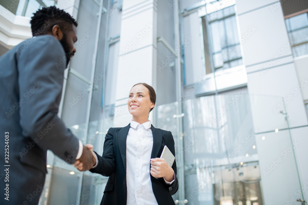 Content attractive business lady with tablet starting new collaboration with international partner Content attractive business lady with tablet starting new collaboration with international partner