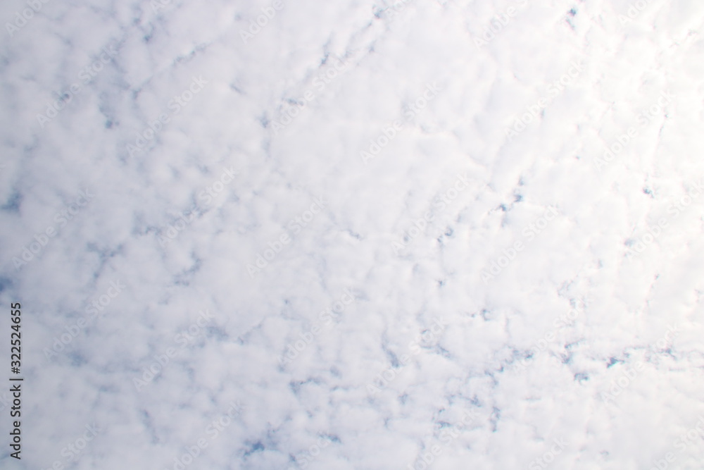 Fototapeta premium white background