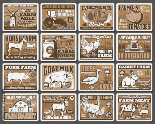 Farm vector design of agriculture barn, harvest field and tractor, animals, vegetables and windmill. Cow milk, chicken eggs and poultry meat, pork, sheep, rabbit farm and horseback riding ranch