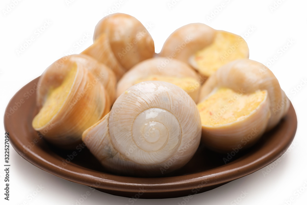 still life of stuffed snail sauce, on a white background