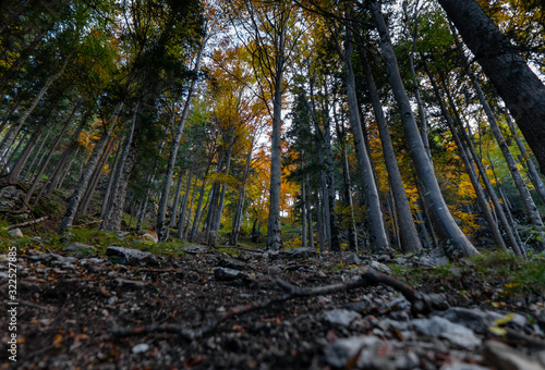 Herbstwanderung 