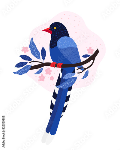 Taiwan azure magpie. Animals Of Taiwan. Urocissa caerulea. Cute Blue bird sits on a branch with pink tropical flowers. Exotic bird of Asia. Hand drawn vector illustration in Scandinavian style.
