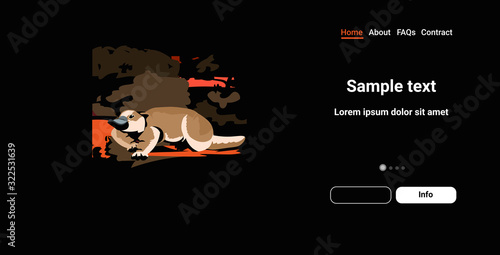 platypus running from forest fires in australia animals dying in wildfire bushfire natural disaster concept intense orange flames horizontal copy space vector illustration