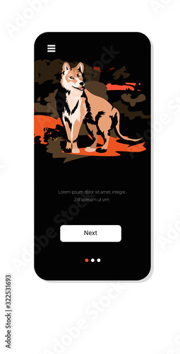 wolf running from forest fires in australia animals dying in wildfire bushfire burning trees natural disaster concept intense orange flames smartpone screen mobile app vertical vector illustration