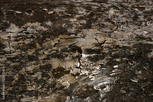 wood texture ,abstract background