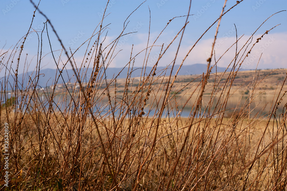 Obraz premium Beautiful Landscape On The Lake