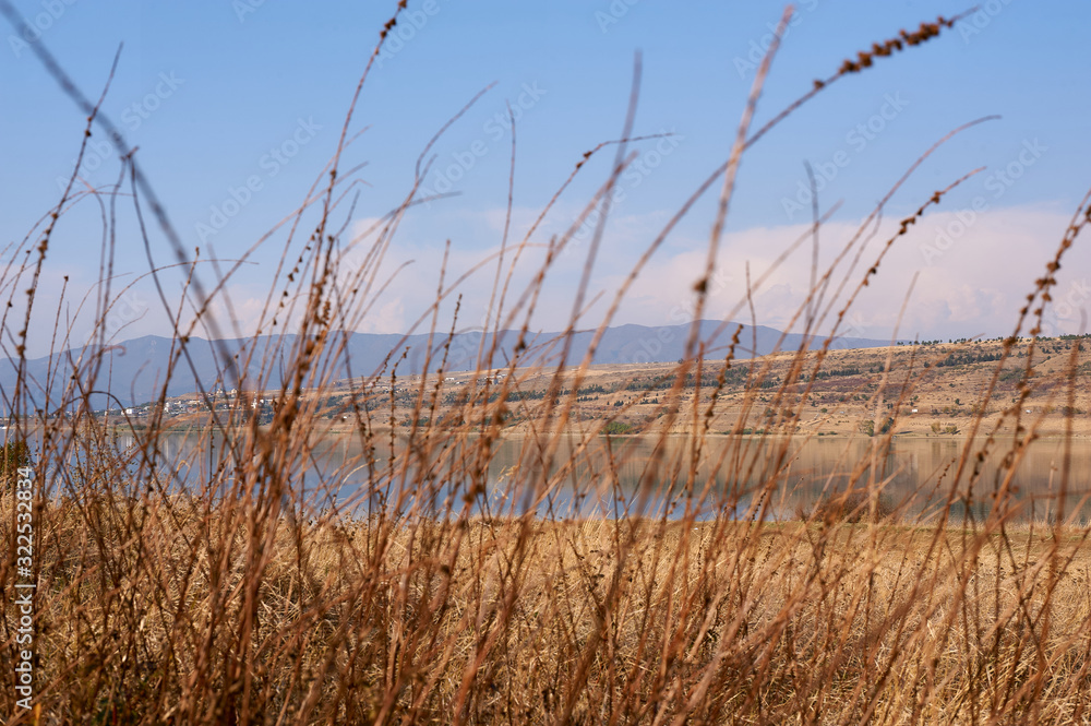 Obraz premium Beautiful Landscape On The Lake 