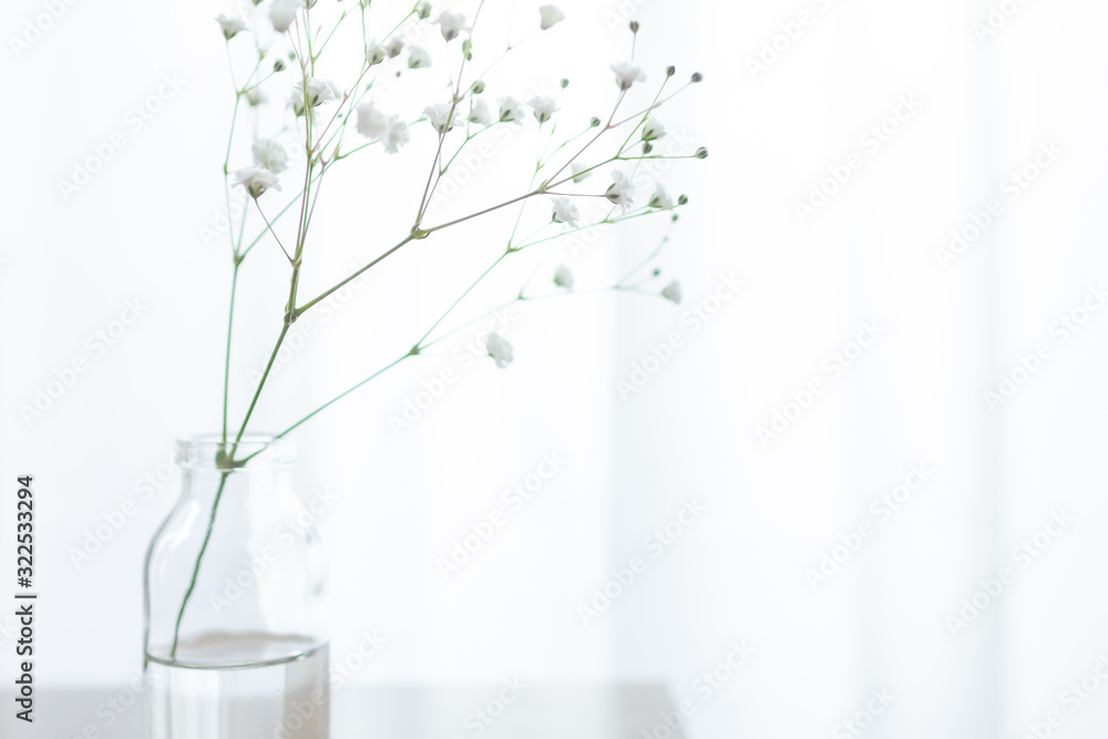 部屋の花瓶に飾ったかすみ草の一輪挿しのアップ Stock Photo Adobe Stock