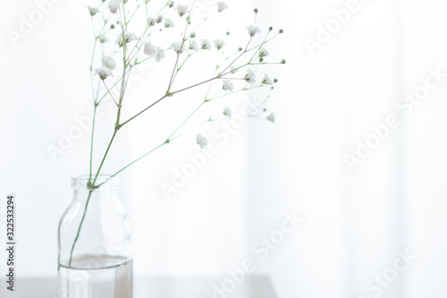 部屋の花瓶に飾ったかすみ草の一輪挿しのアップ Stock Photo Adobe Stock