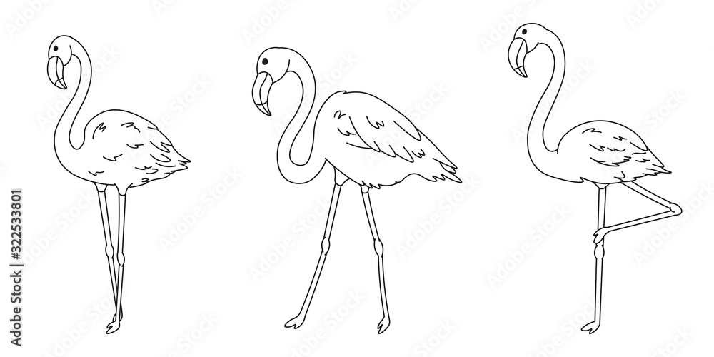 set of cartoon flamingos black lines silhouettes, cute wild tropical bird  for kids coloring book, decoration, editable vector illustration Stock  Vector | Adobe Stock
