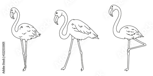 set of cartoon flamingos black lines silhouettes, cute wild tropical bird for kids coloring book, decoration, editable vector illustration