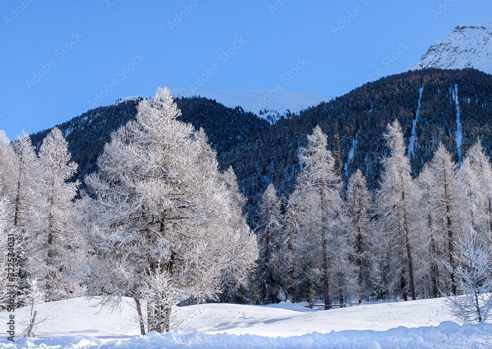 Obraz premium Wooden snow paradise