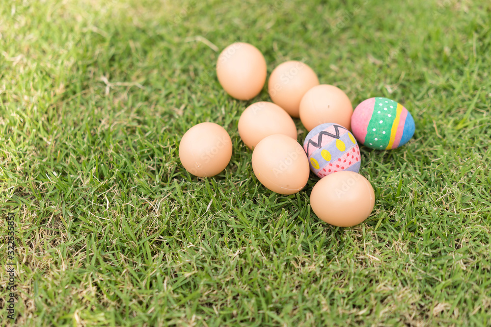 Colorful eggs, symbol of Easter festival.