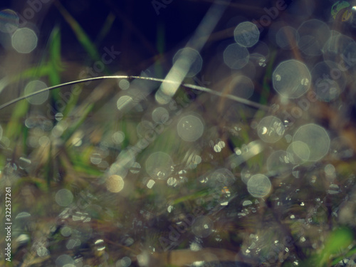 Natural background, water drops on the green grass.