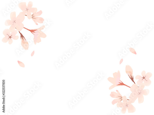 Cherry blossom watercolor