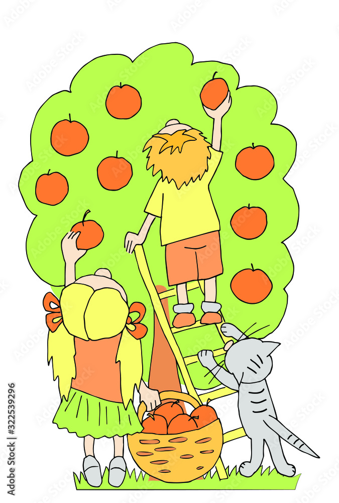 Fototapeta premium Children and cat picking apples in the garden. Vector cartoon illustration.