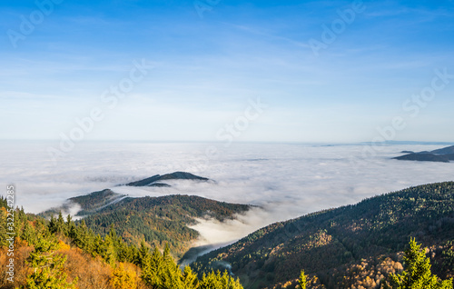 Cloud sea above mountains in beautiful weather  shot in November 2019 in Freiburg, Germany © Wheat field