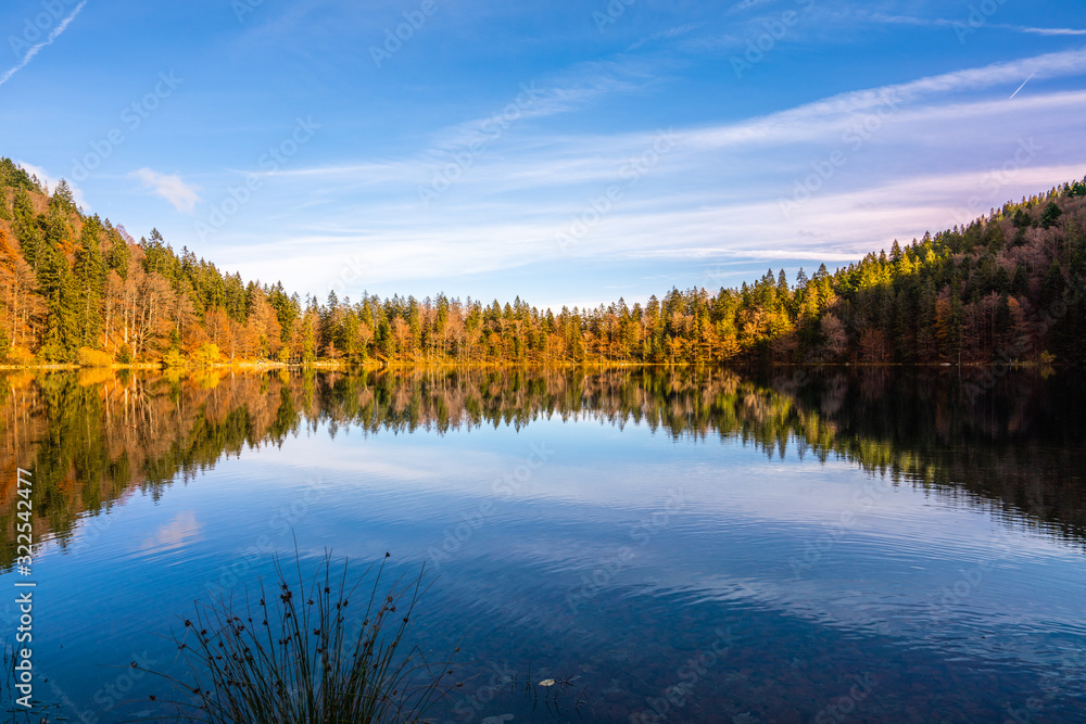Yellow woods in autumn and beautiful reflection of clouds in the lake of Freiburg in Germany; shot in November 2019 Yellow woods in autumn and beautiful reflection of clouds in the lake of Freiburg in Germany; shot in November 2019
