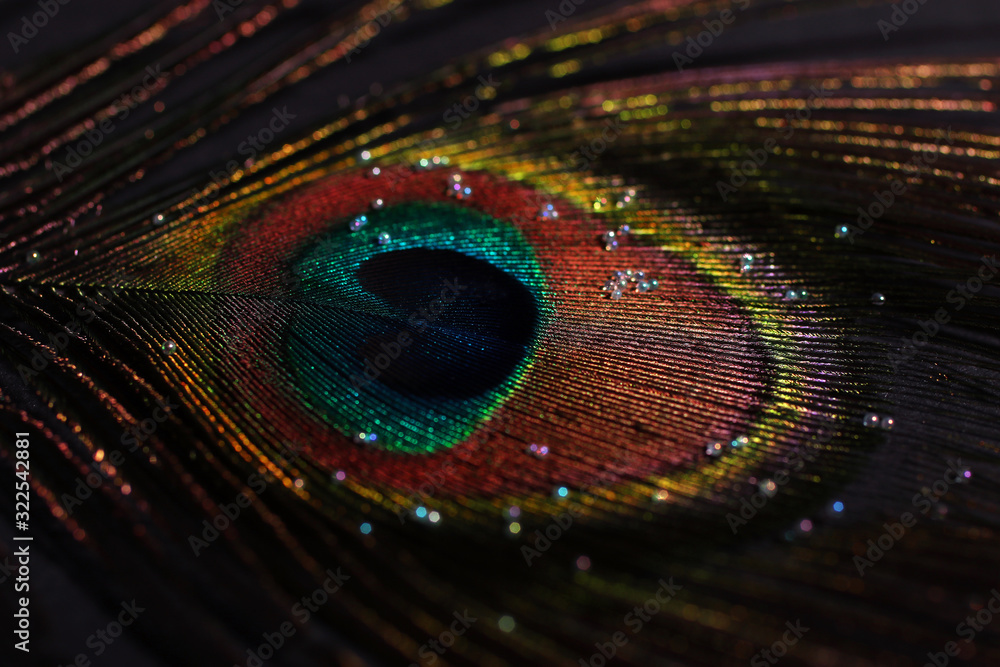 Naklejka premium Peacock feather with shiny balls on it.