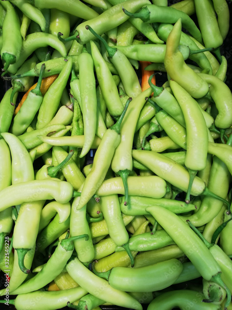Big sized green chillies lying in a basket, Farm fresh Green vegetables Big sized green chillies lying in a basket, Farm fresh Green vegetables