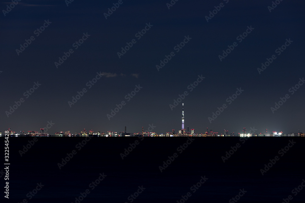 Fototapeta premium 袖ケ浦海浜公園からの夜景 千葉県袖ケ浦市 日本
