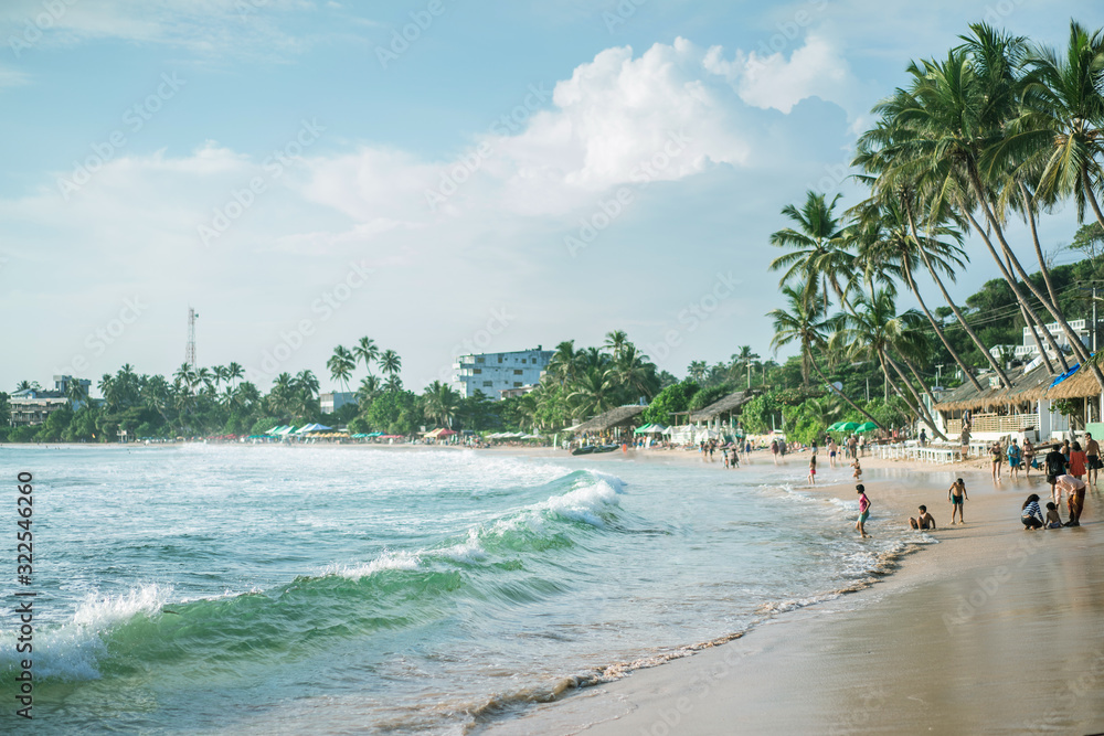 Jungle Beach on tropical coast indian ocean with coconut palms, island Sri Lanka tangalle