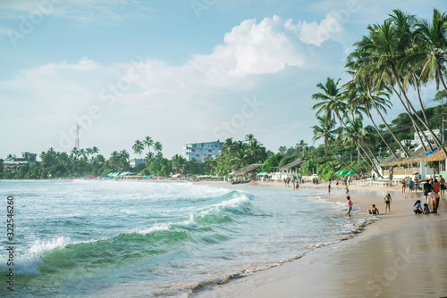 Jungle Beach on tropical coast indian ocean with coconut palms, island Sri Lanka tangalle