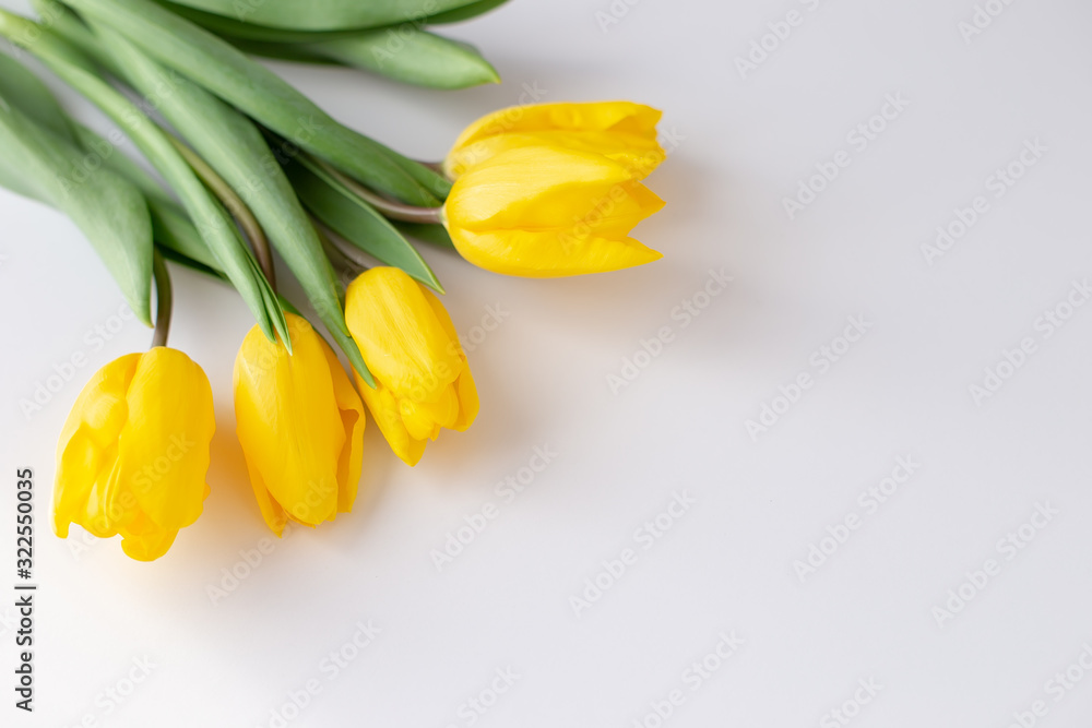 Obraz premium A bouquet of yellow tulips lies in the upper left corner on a white background