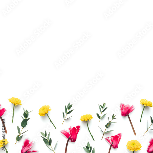 Spring Background With Cyclamens