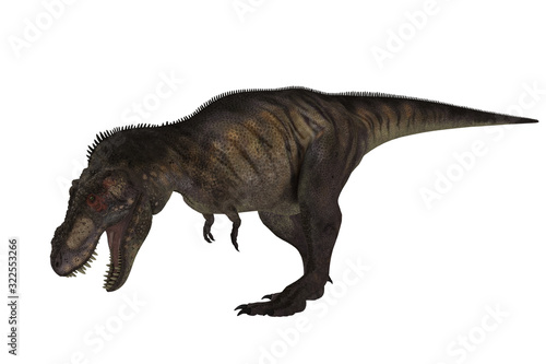 Tiranosaurio Rex © Naz