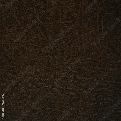 old brown rustic leather square background © Corri Seizinger