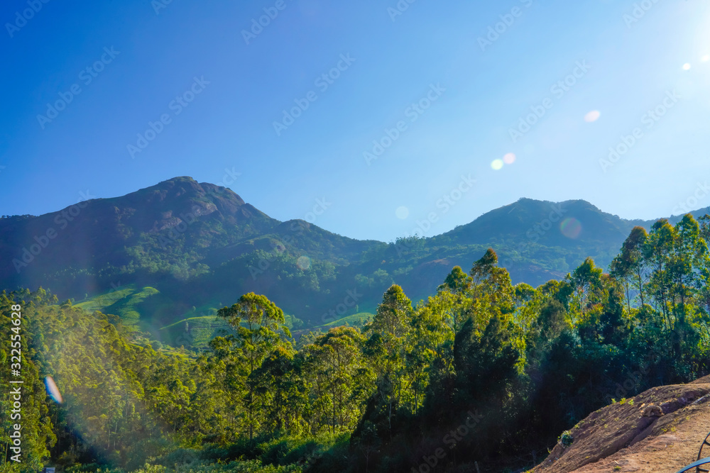 Famous, beautifut and ever green hill station, Munnar, in Kerala, South India