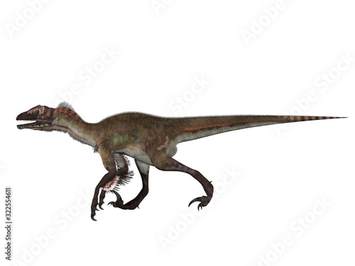 Velociraptor © Naz