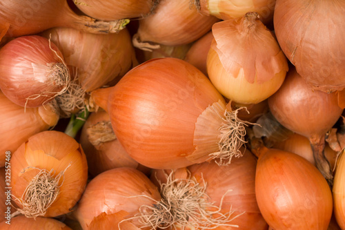 Onion background close up
