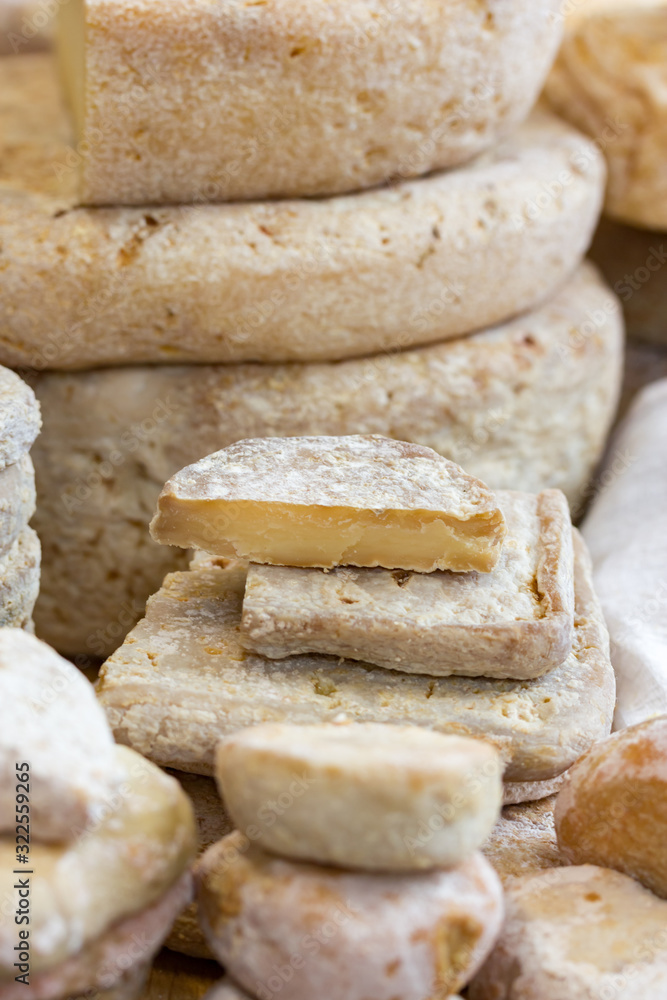 A large number of cheeses on the counter. A wide selection of cheeses for every taste. A large number of cheeses on the counter. A wide selection of cheeses for every taste.