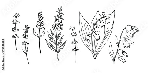  Vector set of wild flowers.
