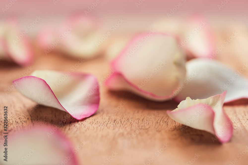 Soft Romantic Pink Petal Background. Floral concept on wooden desk with copy space. Pink rose petals background for valentine's, rose, propose day, cover, banner, pamphlet, graphic resource. Soft Romantic Pink Petal Background. Floral concept on wooden desk with copy space. Pink rose petals background for valentine's, rose, propose day, cover, banner, pamphlet, graphic resource.