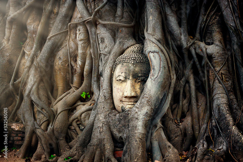 Buddha head in tree ayutthaya Thailand travel concept.Wat Mahathat temple is favorite place of Ayutthaya and world heritage.The buddha face is amazing. photo