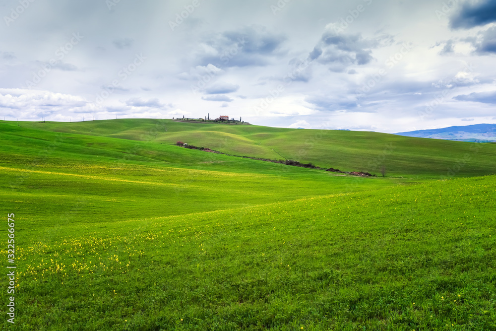 Fototapeta premium Amazing Tuscany landscape with green rolling hills in spring cloudy morning