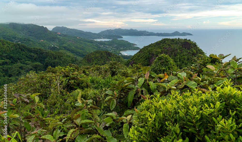 Obraz premium Mahe - Seychelles