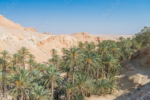 arizona desert landscape