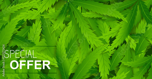 Sale realistic cannabis card template