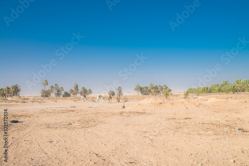 Sahara Desert Wide plans for a great sunny space full of sand. © oskarjanjarzyna
