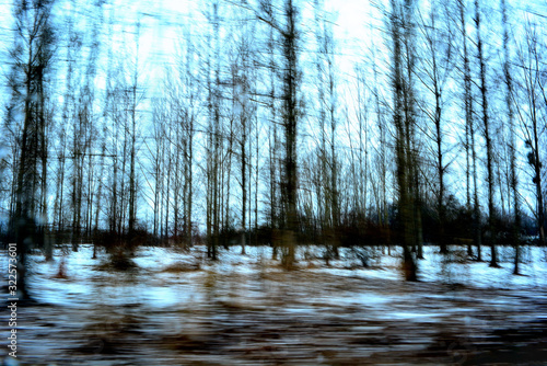 Blurry winter forest