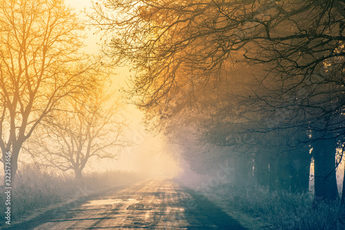 Foggy road