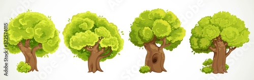 Set of ancient thick trees with summer green lush foliage vector drawing isolated on white background
