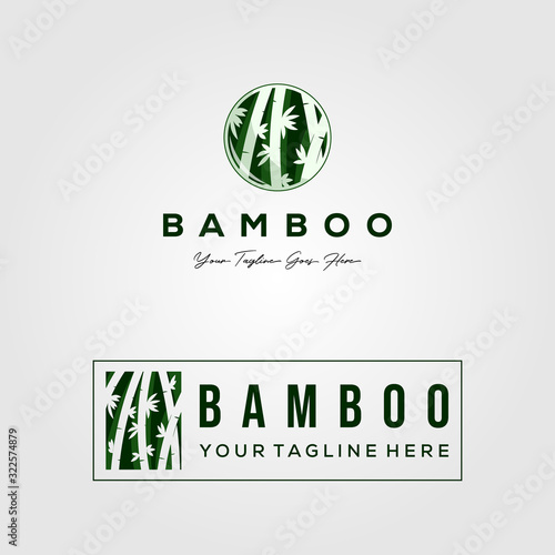 bamboo set logo vector illustration design