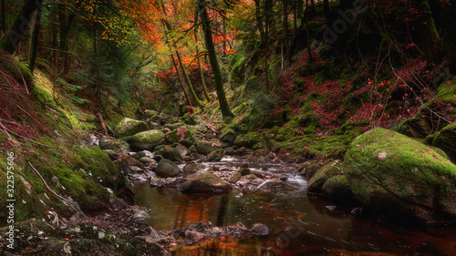 Stream flowing in rocky gorge, in autumn woodland.Fairytale landscape scene.Tranquil nature.Dreamlike forest scenery.