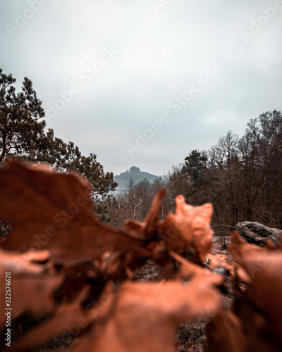 Wanderung zur Kaiserkrone mit Nebel Sächsische Schweiz photo