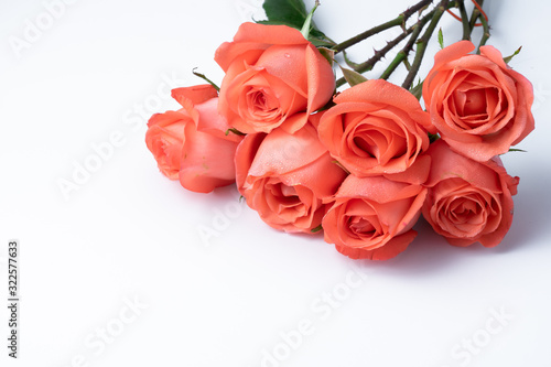 Bunch of orange roses on white background. Gift and Valentines day concept.
